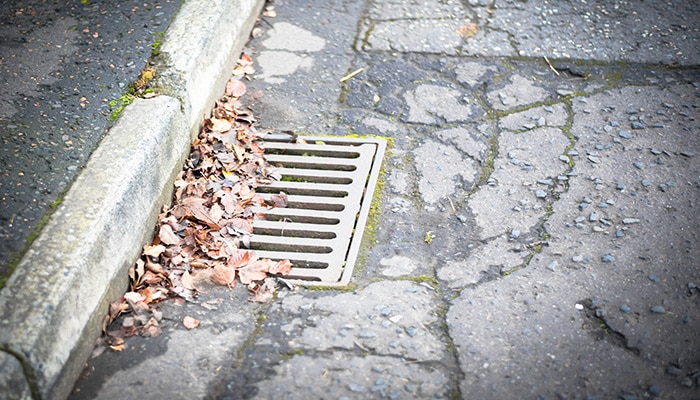 Crunchy Brown Autumn Leaves Scattered Atop a Slatted Street Gutter Next to the Curb